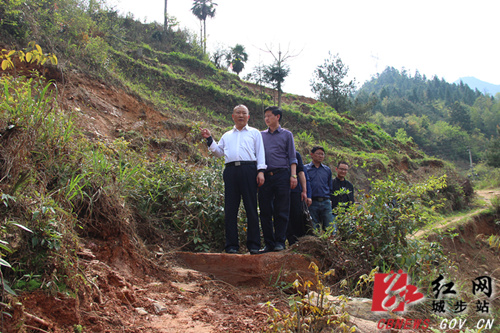 罗建南深入乡镇调研脱贫攻坚等工作(图4)