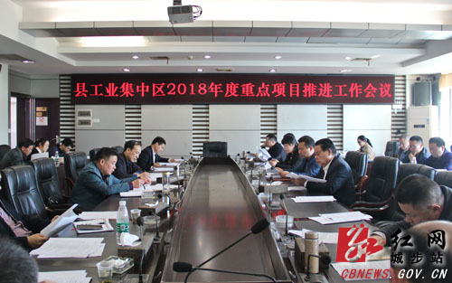 杨博理调研县工业集中区建设工作(图2)