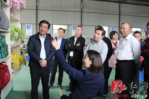 何报翔深入城步调研脱贫攻坚工作(图4)
