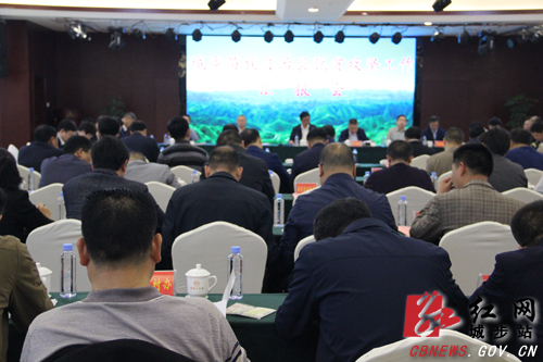 何报翔深入城步调研脱贫攻坚工作(图1)