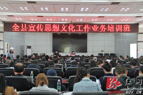 城步举办全县宣传思想文化工作业务培训(图1)