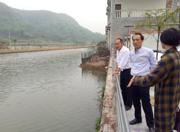 杨博理调研指导蒋坊乡脱贫攻坚、河长制等工作(图3)