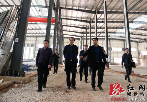 杨博理调研县工业集中区建设工作(图1)