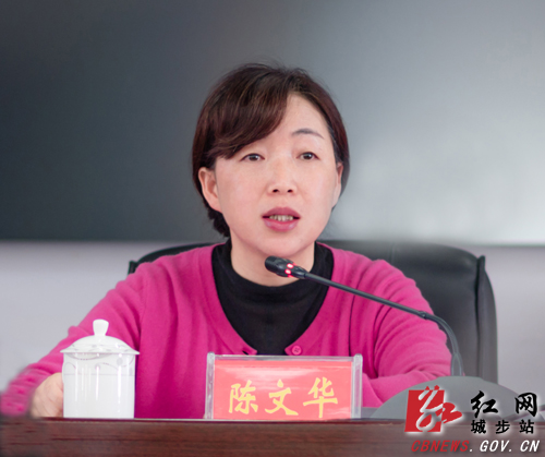 城步举办全县宣传思想文化工作业务培训(图2)