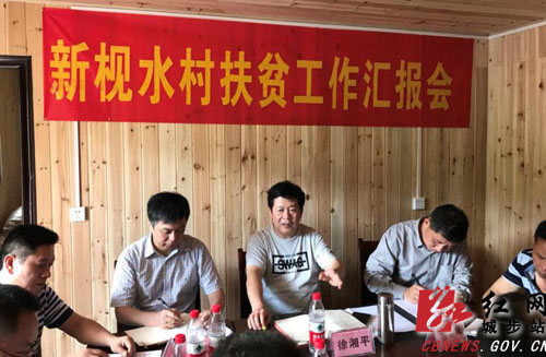 徐湘平深入城步调研指导驻村帮扶工作(图3)