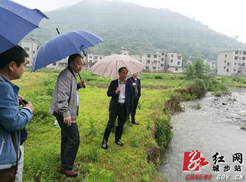 罗小林检查指导西岩镇防汛防洪和安全生产工作(图1)