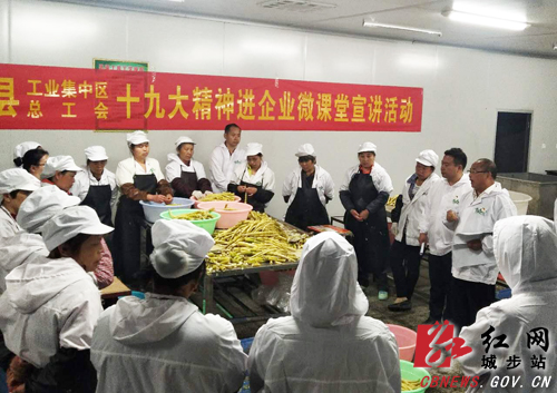 城步十九大精神“微课堂”进企业(图1)