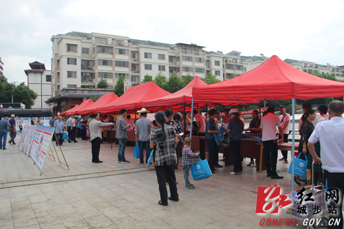 城步开展应急知识集中宣传活动(图1)