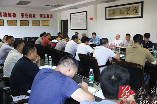 城步召开省派市派驻村帮扶工作队队长座谈会(图1)