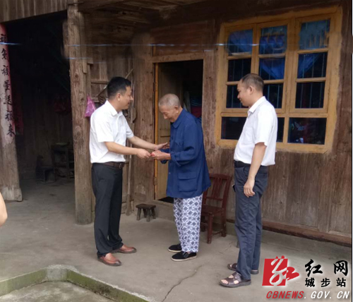 杨映林检查指导儒林镇基层党建工作(图1)