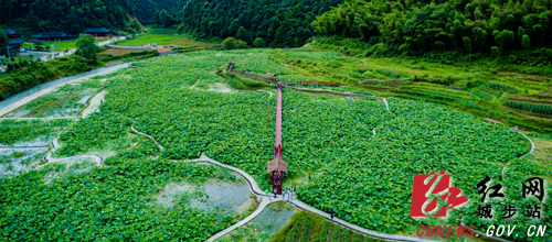 城步花龙:“旅游+”给力乡村振兴(图2)