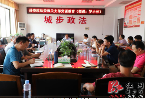 城步政法委以党课庆祝党的生日(图1)