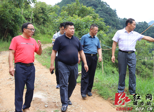 方凯调研汀坪龙塘村组道路建设(图1)