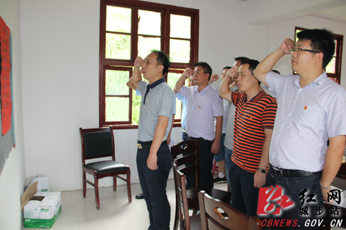 杨博理深入威溪乡复兴村指导基层党建工作(图1)