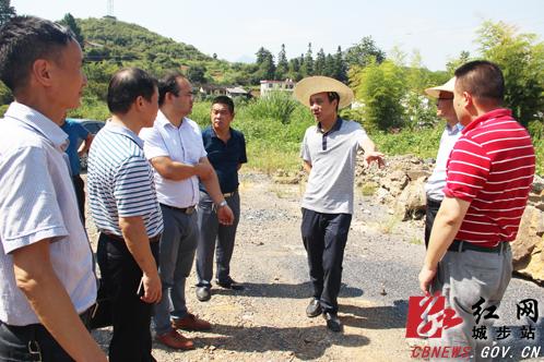 杨博理督查易地扶贫搬迁集中安置点建设工作(图3)