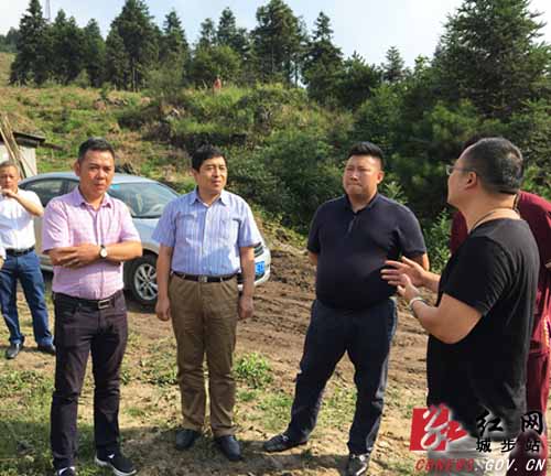 国家商务部调研指导城步电商和扶贫工作(图1)