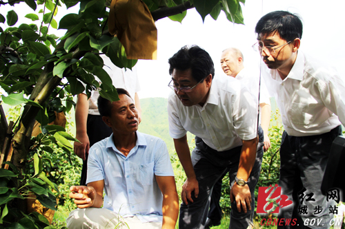 隋忠诚副省长在城步调研时强调：打造特色品牌 助力脱贫攻坚(图2)