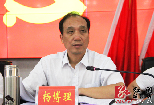 城步召开县委十二届三次全体（扩大）会议(图3)