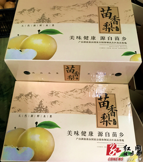 城步白岩山：苗香梨园话丰收(图5)