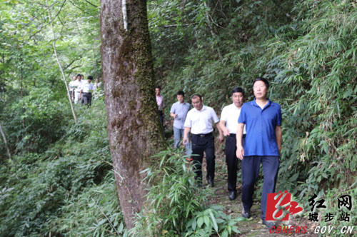 李春良一行考察调研湖南南山国家公园体制试点工作(图1)