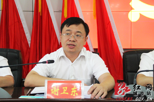 城步召开县委十二届三次全体（扩大）会议(图5)