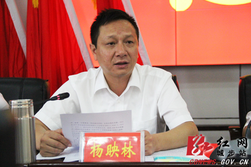 城步召开县委十二届三次全体（扩大）会议(图4)