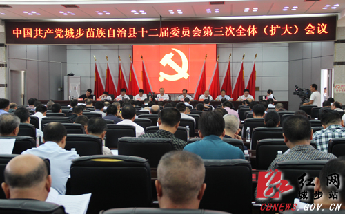 城步召开县委十二届三次全体（扩大）会议(图1)