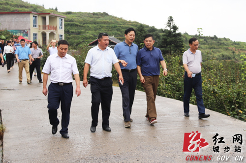 邵阳市政协委员视察城步“三大攻坚战”工作(图1)