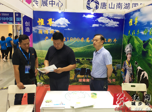 城步组团参加中国国际商标品牌节(图2)