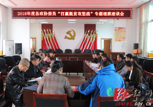 城步政协委员集中视察，聚焦“打赢脱贫攻坚战”(图3)