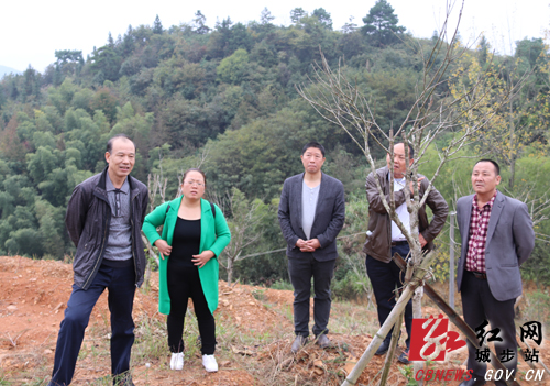城步政协委员集中视察，聚焦“打赢脱贫攻坚战”(图2)