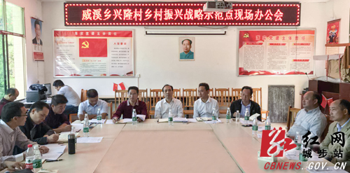 杨博理深入威溪调研指导乡村振兴工作(图1)