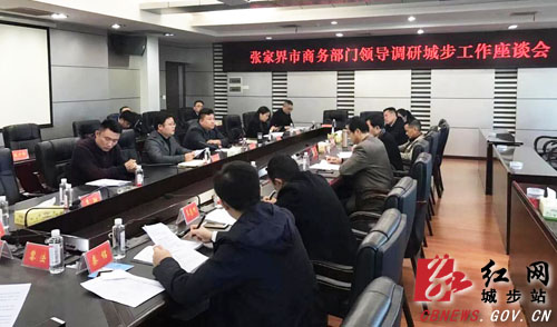 张家界市商务局来城步考察调研(图1)