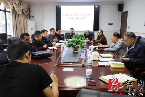 罗小林督查西岩镇安全生产和交通安全工作(图1)