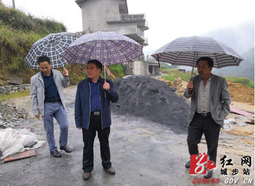 王炉军督查指导兰蓉乡安全生产等工作(图1)