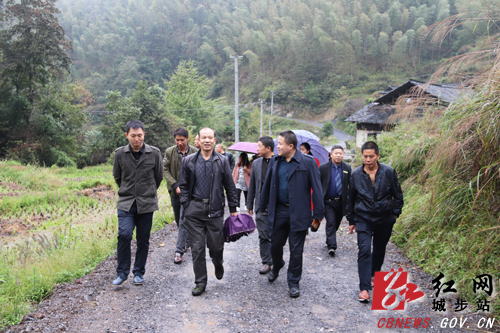城步政协委员集中视察，聚焦“打赢脱贫攻坚战”(图1)