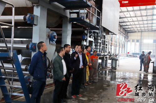 城步银河纸业项目一期建成投产(图1)