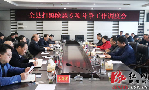 城步全力推进扫黑除恶专项斗争(图1)