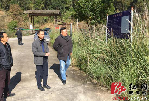 方凯深入丹口镇开展巡河工作(图1)
