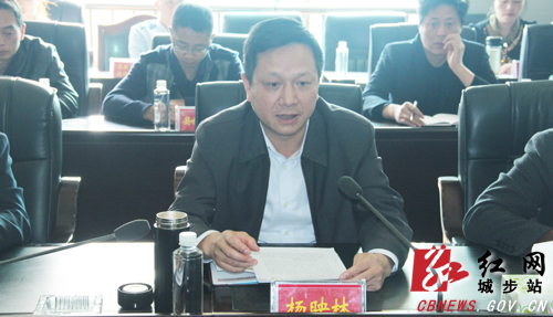 城步召开2018年贫困退出验收核查工作汇报会(图2)