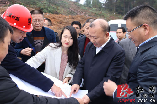 罗建南调研指导易地扶贫搬迁工作(图2)