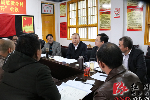 罗建南深入黄伞村调研指导脱贫攻坚工作(图1)