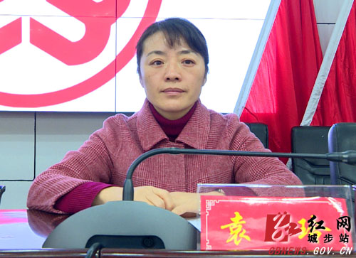 城步第十一次妇女代表大会召开(图2)