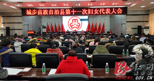 城步第十一次妇女代表大会召开(图1)