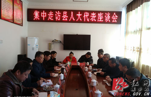 钟胤进深入乡镇开展集中走访县人大代表活动(图1)