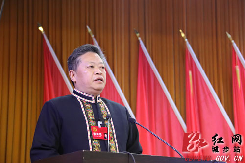 城步苗族自治县第十七届人民代表大会第四次会议开幕(图4)