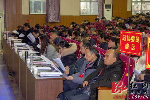 政协城步苗族自治县第十届委员会第四次会议开幕(图4)