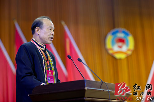 政协城步苗族自治县第十届委员会第四次会议开幕(图3)