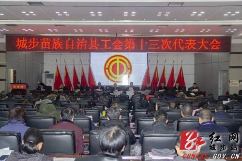 城步工会第十三次代表大会隆重召开(图1)