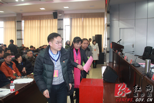 城步工会第十三次代表大会隆重召开(图3)
